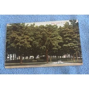 1910 Lyons, NY Postcard - 'View‎ of the Park' - New York
